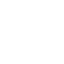 EXPERIENCE