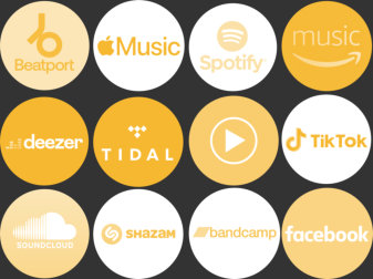 We deliver your music to these stores and more