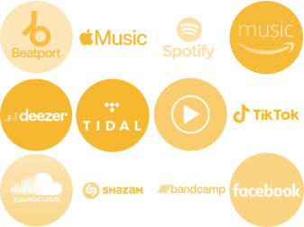 We deliver your music to these stores and more